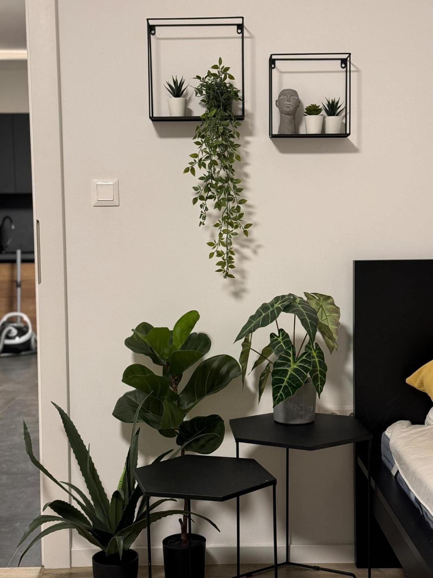Apartmany Elli Myto pod Dumbierom Ngoại thất bức ảnh